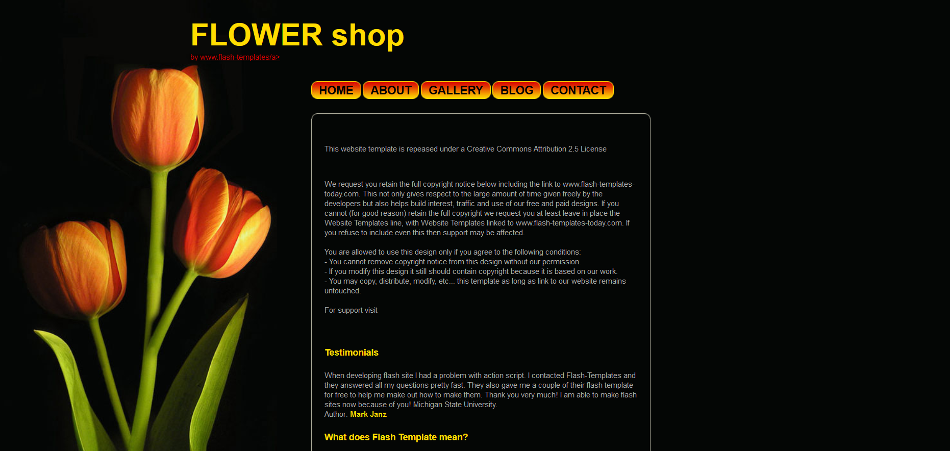 Шаблон сайта Интернет-магазины №308